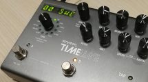 Strymon timeline ice duck