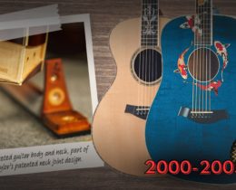 Taylor Guitar History