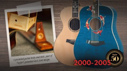 Taylor Guitar History