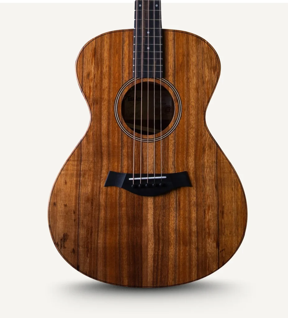 Taylor Jacob Collier Signature Model