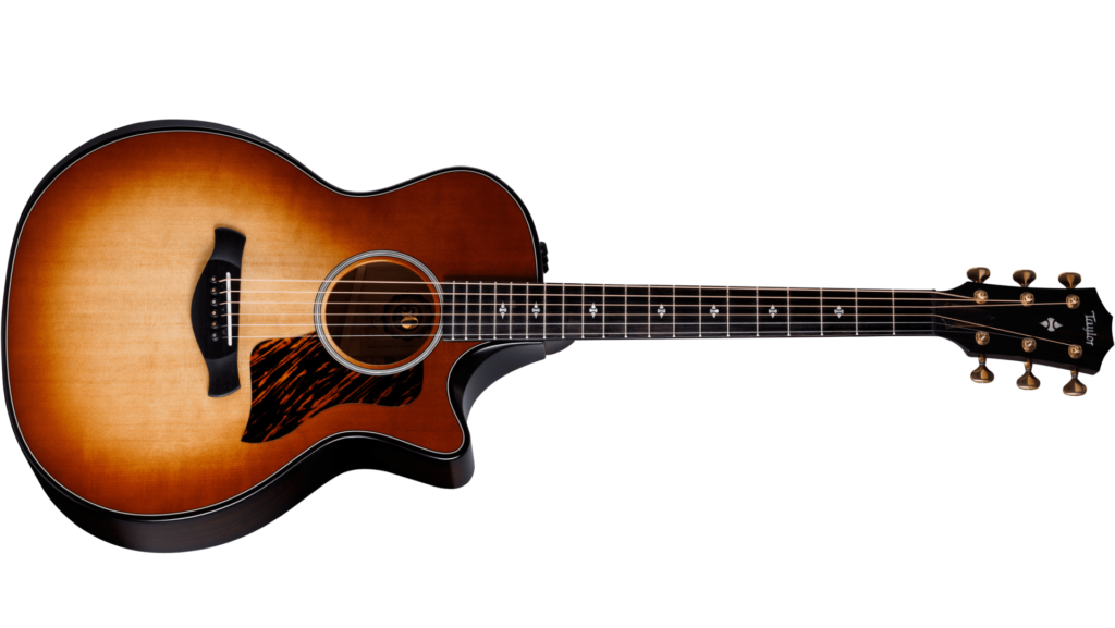 Taylor 50th Anniversary Builder's Edition 314ce LTD