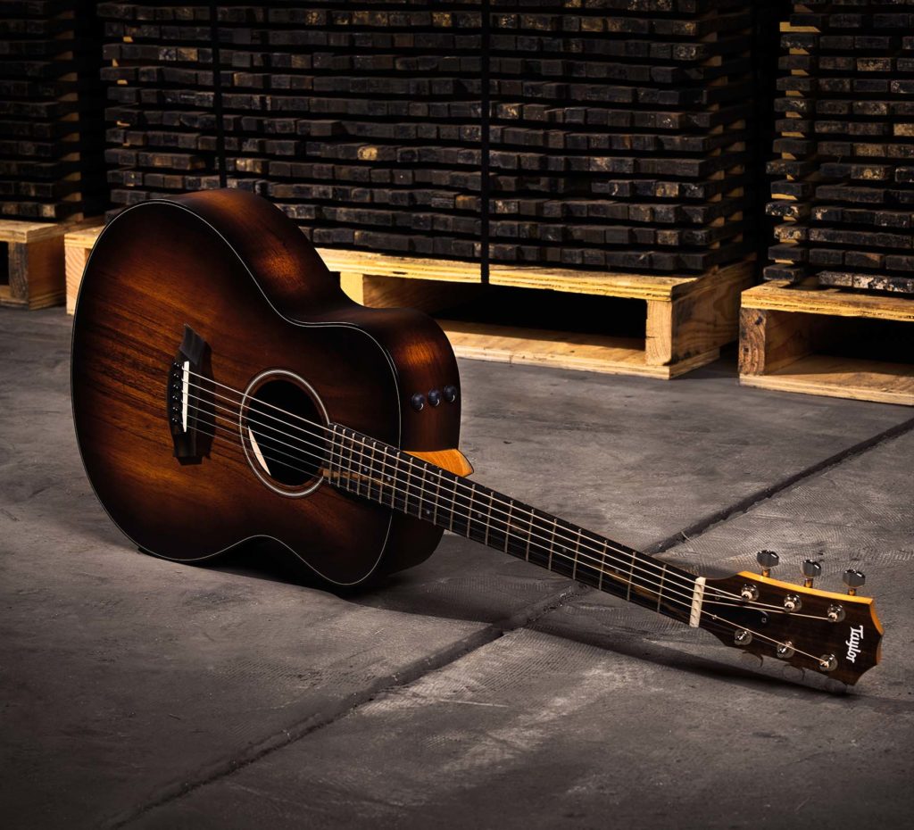 Taylor GS Mini