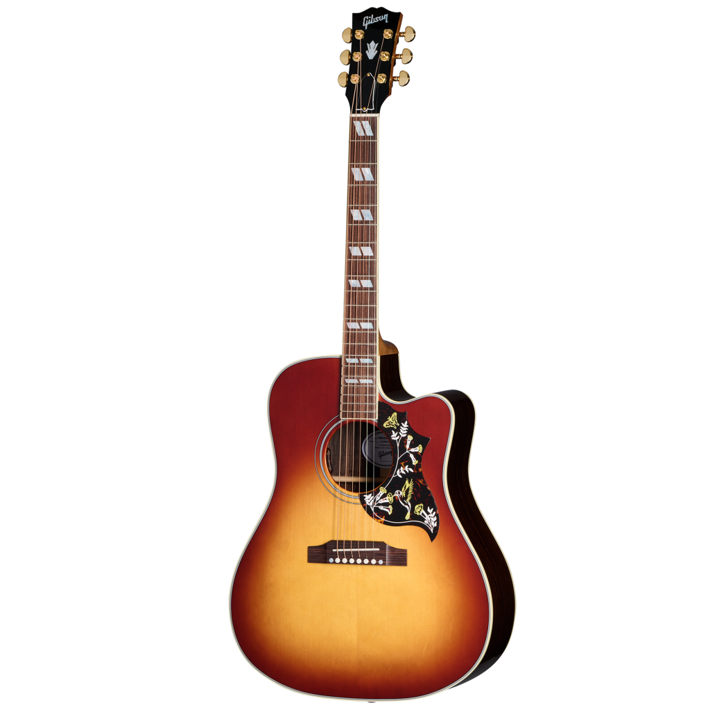 Gibson Hummingbird Standard Rosewood EC