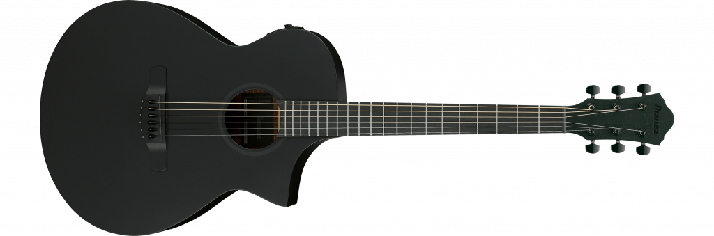 Ibanez AEWC621