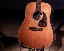 martin d28 rich robinson