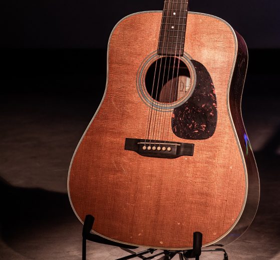 martin d28 rich robinson